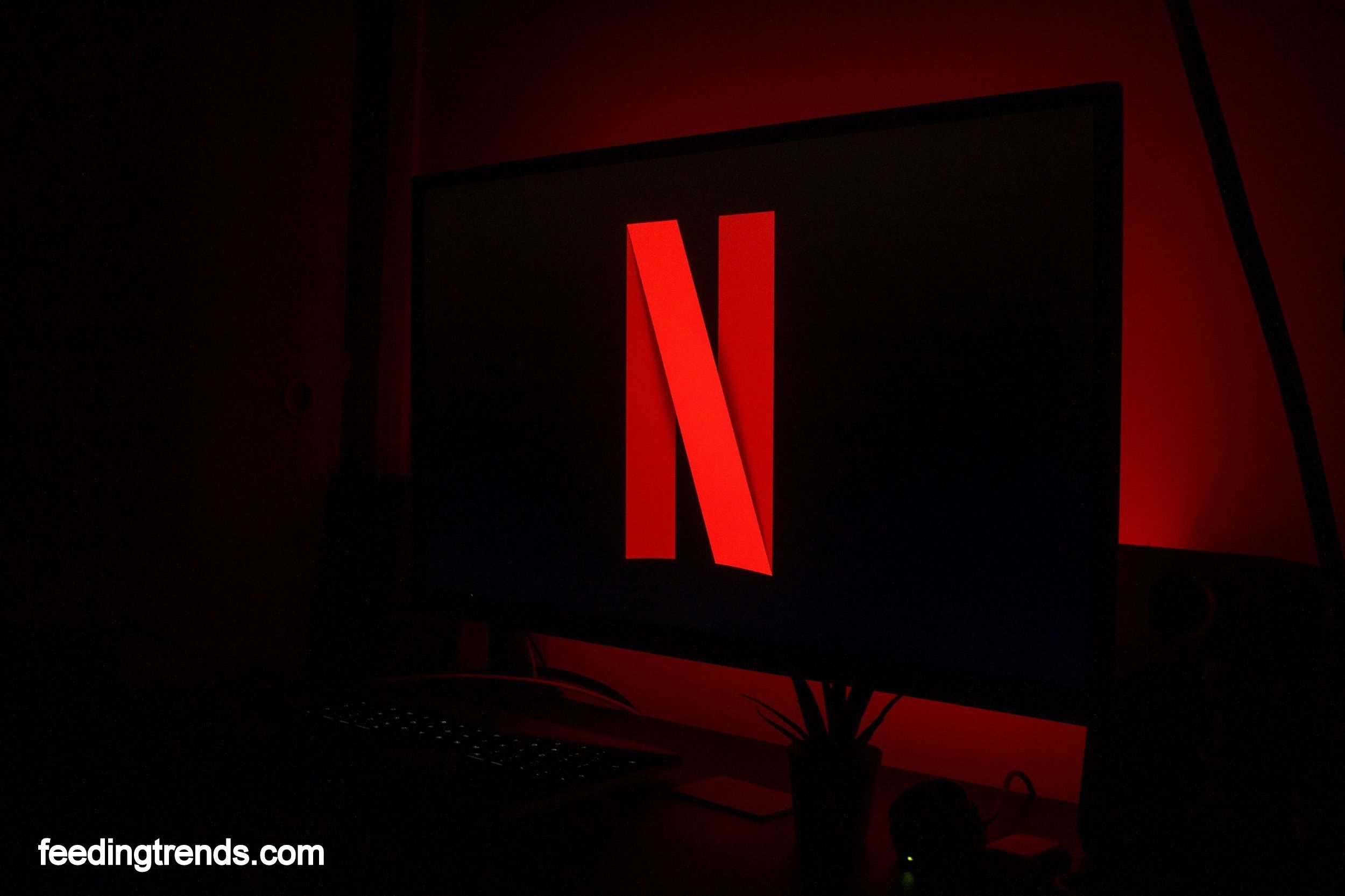 Netflix - The Story Of Creating An Empire