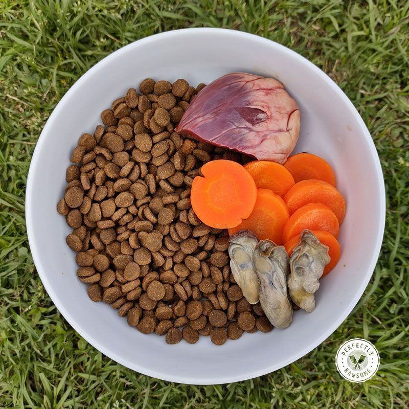 Global Dog Food Market Report by Types, Outlook 2030