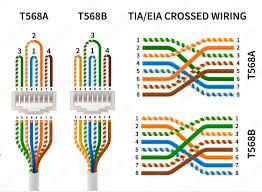 Ethernet Cable Color Order T568A T568B Complete Guide Made Simple