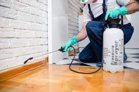 Why Should You Hire a Professional Pest Control Company?