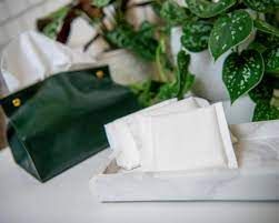 Benefits of a Flushable Sanitary Pad
