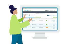 What Is Theranest Login?