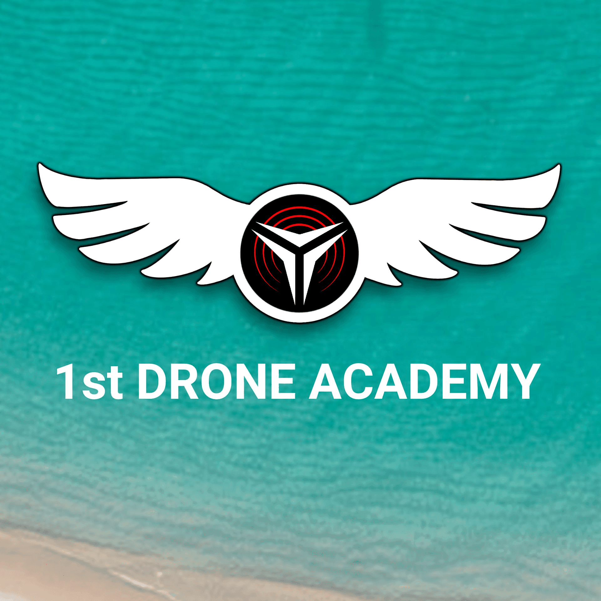 Mastering the Skies: The Ultimate Guide to Online Drone Training