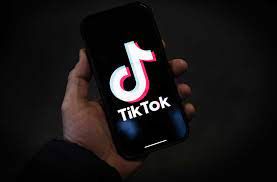 Tiktok Video Downloader No Watermark: Get Videos Without the Logo