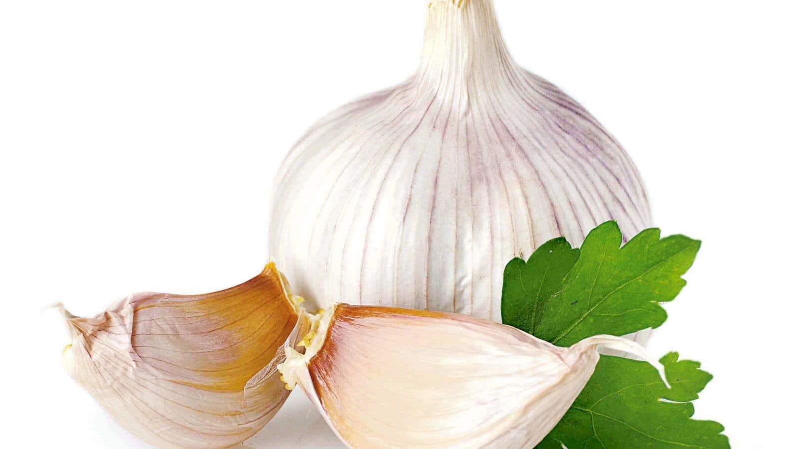 12 Proven Health Benefits of Garlic - Health Benefits Of