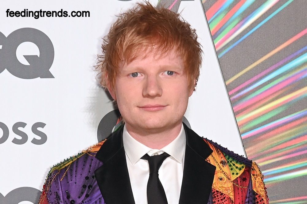 Story of Ed Sheeran From Homeless Kid To Singing Sensation