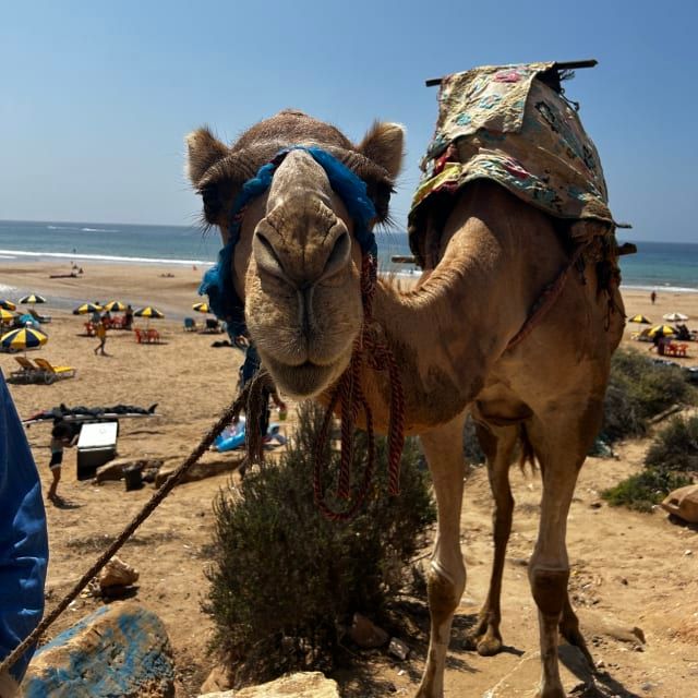 Heading to Morocco? Why Travelers Always Look for Itinerary Ideas First