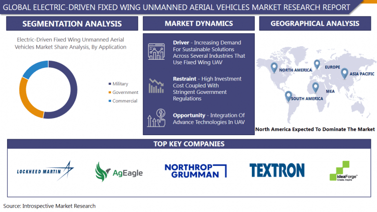 Electric-Driven Fixed Wing Unmanned Aerial Vehicles Market

