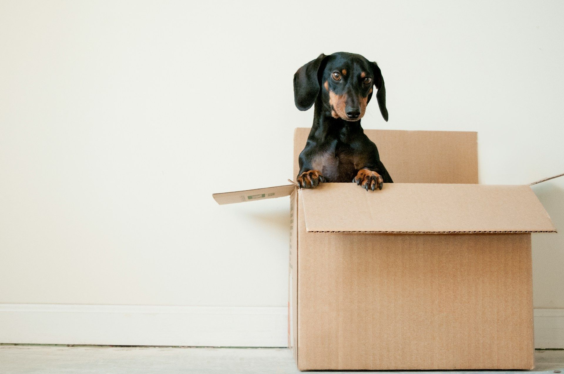 Efficient Business Moving Services by Innercity