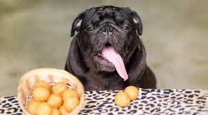 Can Dogs Eat Potatoes?