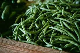 Can Dogs Eat Green Beans? Everything You Need to Know