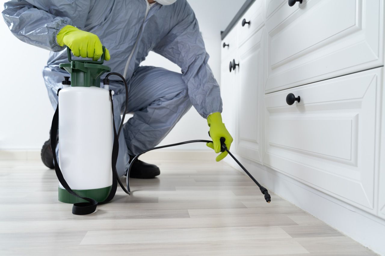 Tips From Exterminators in Vancouver, Bc, for Winter Pests