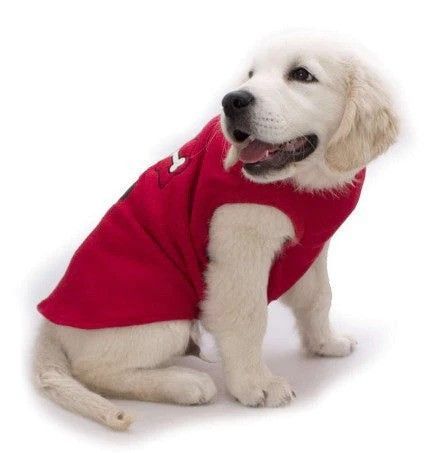 Winter Ready: Dog Coats in Australia – a Buying Guide
