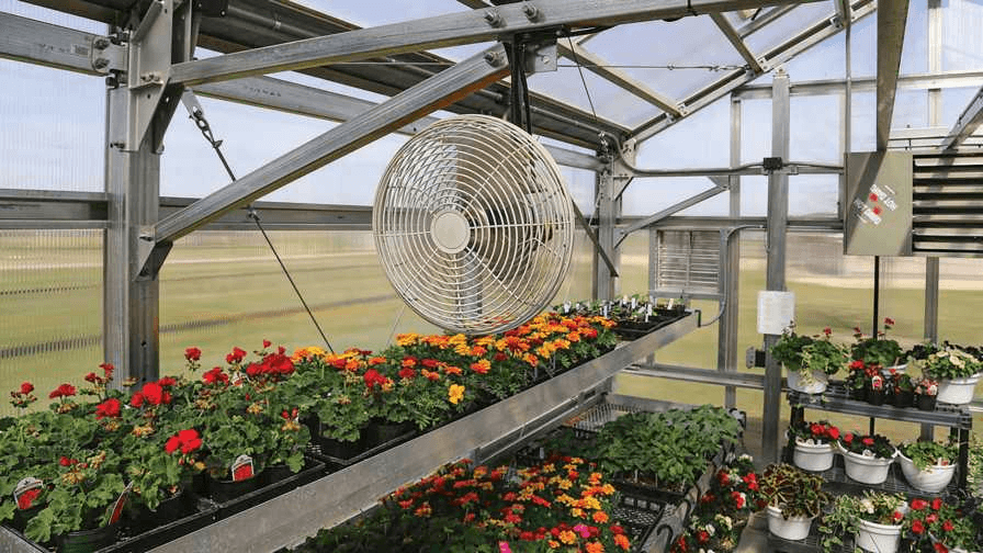 Agricultural Ventilation Fans Market Size, and Forecast Till 2023
