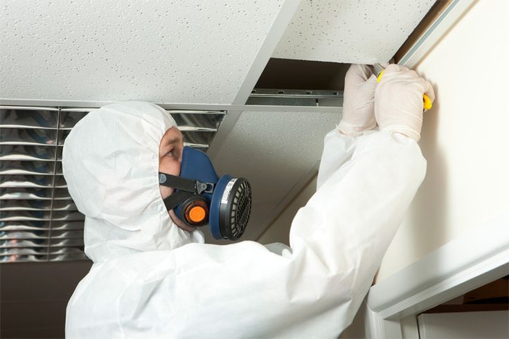 Understanding the Importance of Asbestos Testing for Your Propert