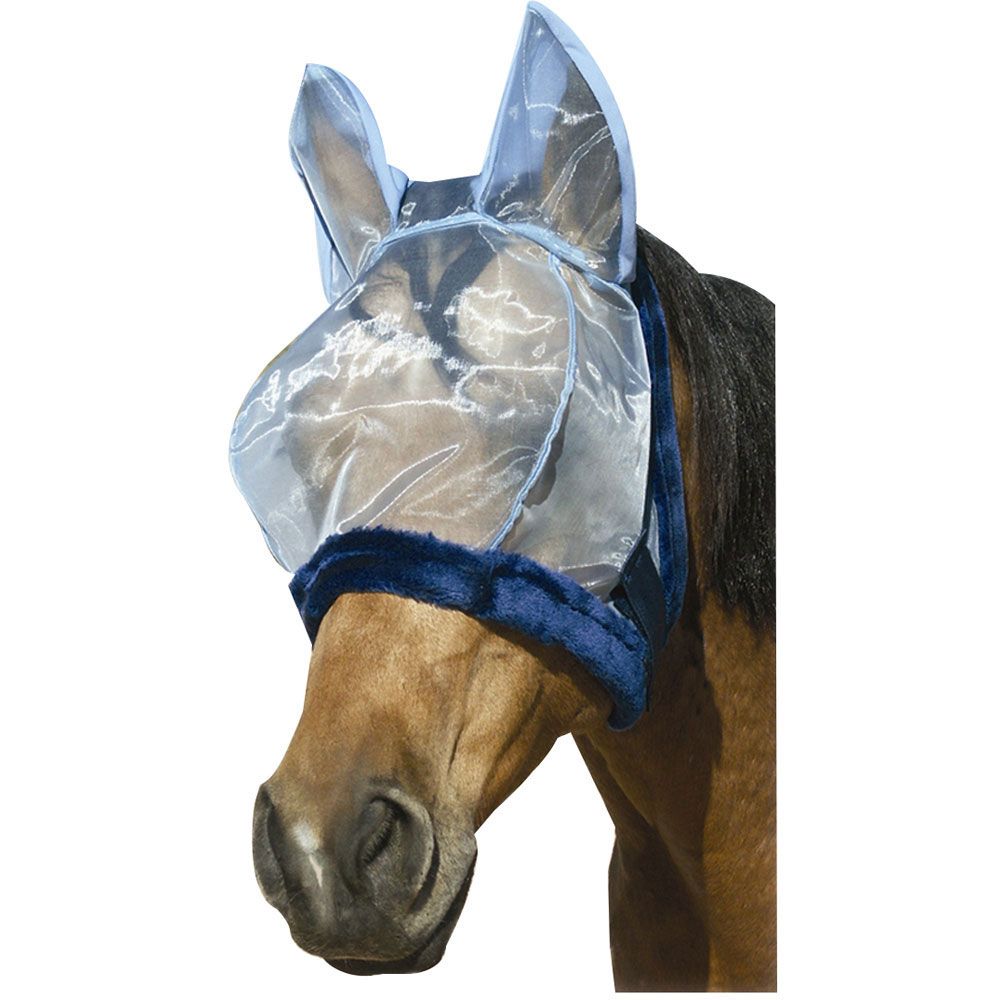 5 Signs Your Horse Needs a Better Fly Mask Right Now