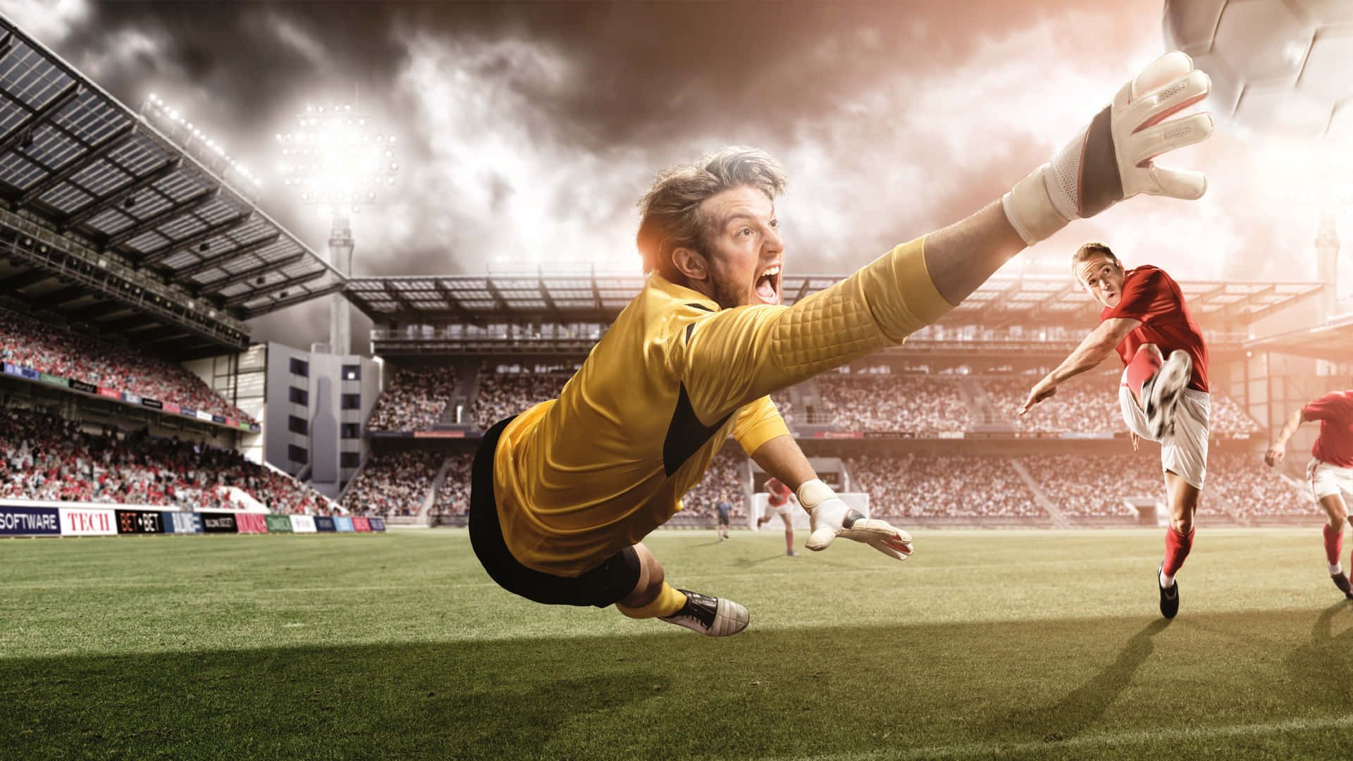 Exploring the Thrills of Fantasy Sport Betting