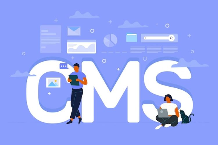 Why Your Business Needs a Custom CMS Website Instead of Templates in 2026