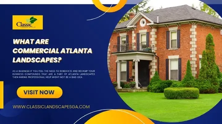 What Are Commercial Atlanta Landscapes?