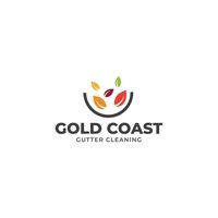 Gutter Maintenance Tweed Coast for Clean and Safe Properties