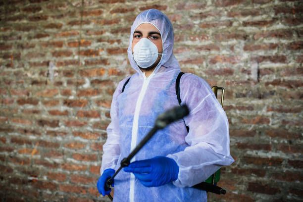 Why Regular Pest Inspections Are Crucial for Every Homeowner