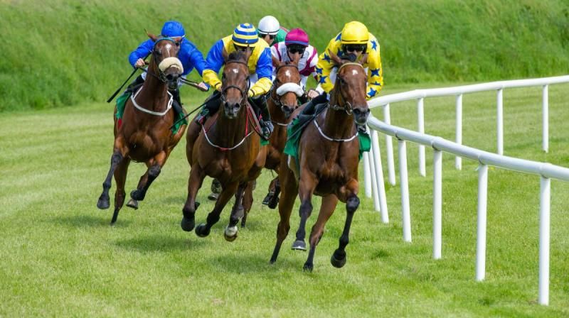 Horse Racing Industry Size, Share, Analysis and Research Report