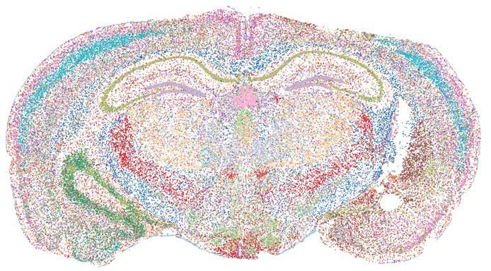 Spatial Omics Industry Size, Share, Growth Report
