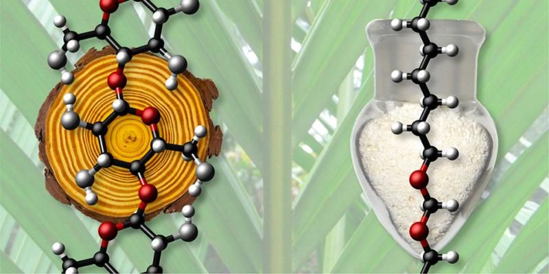 Sustainable Polymers Market Size, Share, Forecasts
