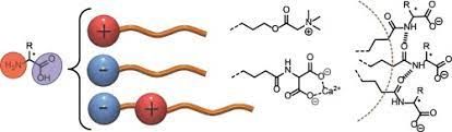 Glutamate Surfactant Market 2022 New Opportunities