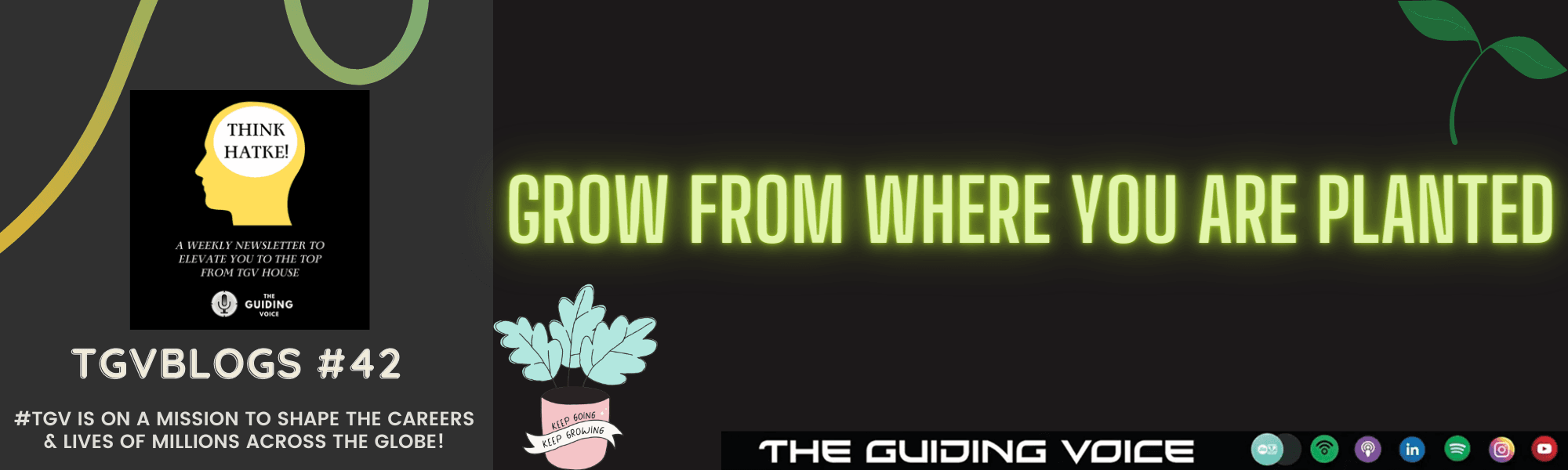 Grow From Where You Are Planted!