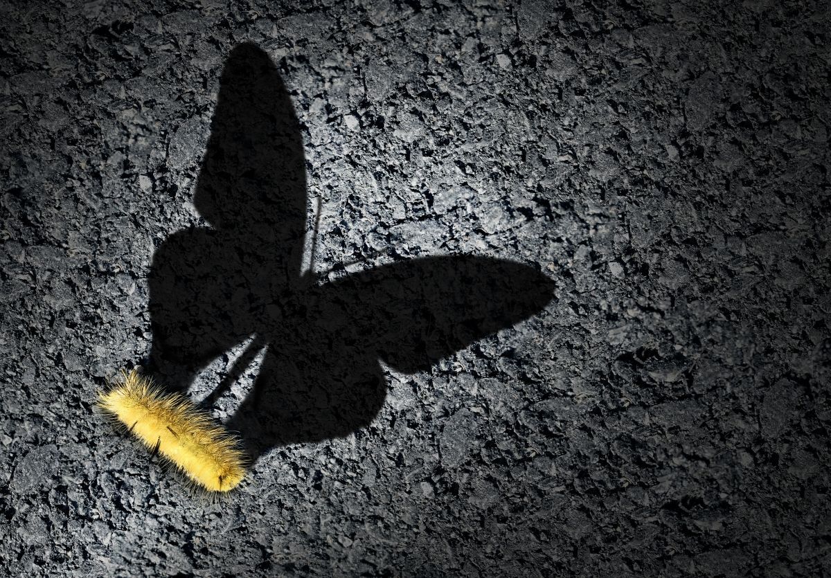 Growth is uncomfortable – but it is necessary!