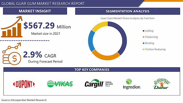 Global Guar Gum Market: Industry Analysis