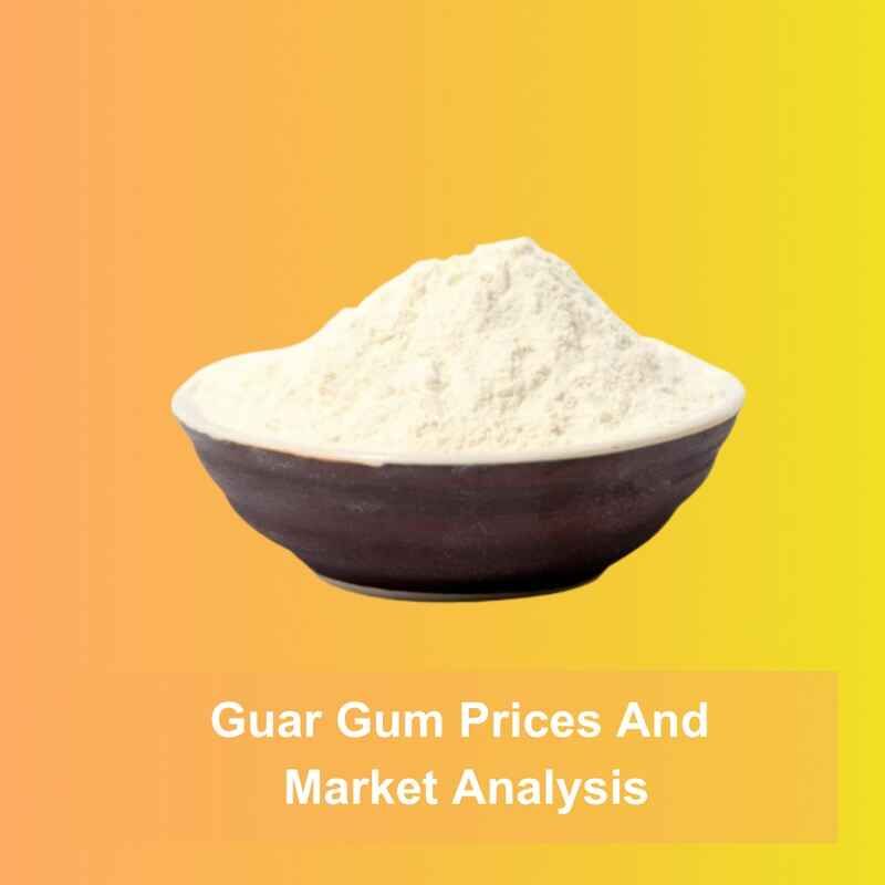 Guar Gum Price Trends for 2025: What Businesses Need to Know