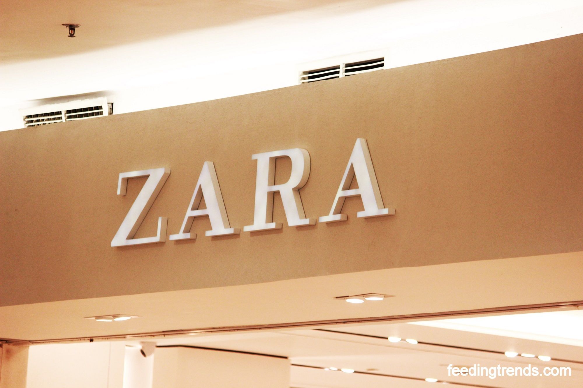 The Story Of Zara