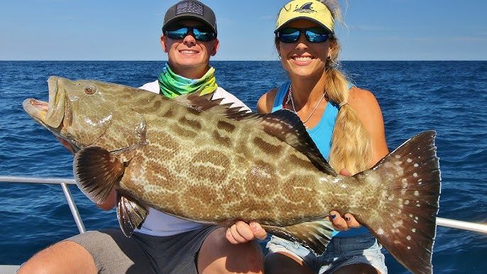 Top Strategies for Anglers Fishing: Expert Tips and Techniques