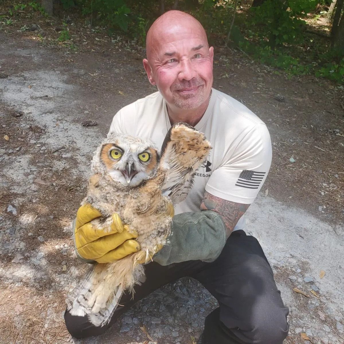 Why You Need Professional Dead Animal Removal in Columbia, SC
