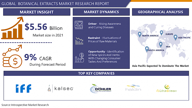 Botanical Extracts Global Industry Analysis