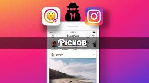 Introducing : Your Ultimate Instagram Viewer