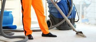 Revitalize Your Home With Professional Carpet Cleaners
