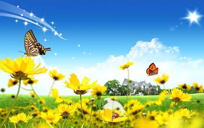  Beauty of Nature 