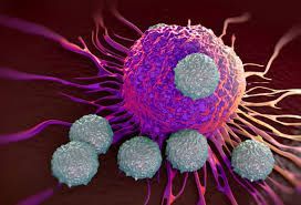 Report on Immunotherapy Drugs Market Research 2028