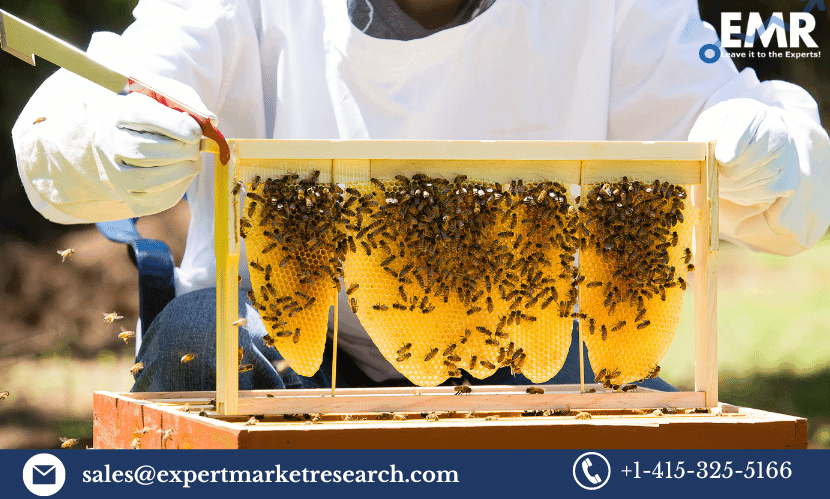 Indian Apiculture Market Growth, Size, Share, Forecast 2023-2028