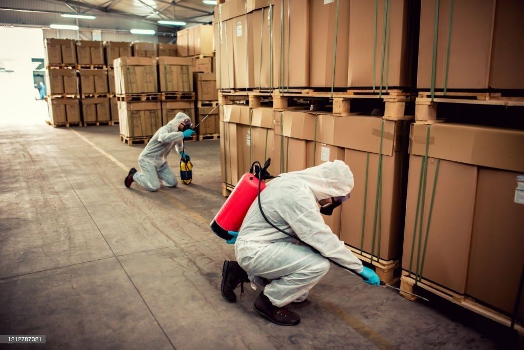 Pest Control Qatar: Ensuring a Pest-Free Environment