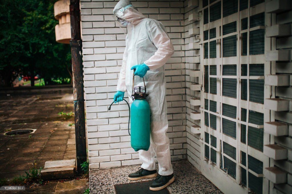 Rat Removal Tips: How to Catch and Remove Rats From Your Home