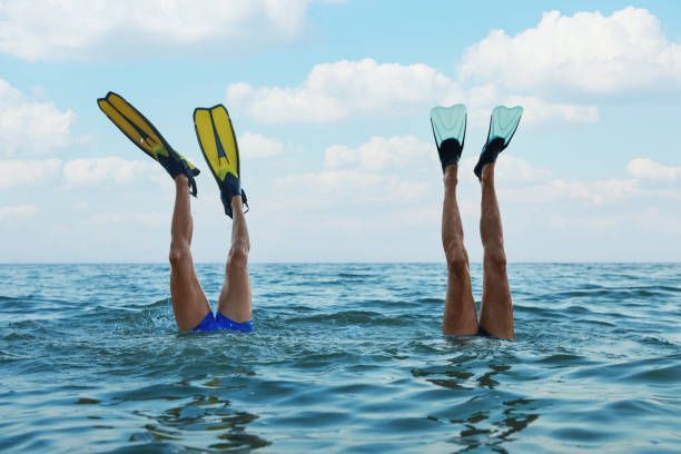 Dive Into Adventure: The Ultimate Scuba Diving Guide