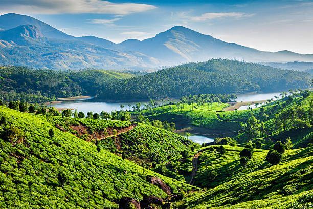 5 Places to Visit in India During the Monsoon Time