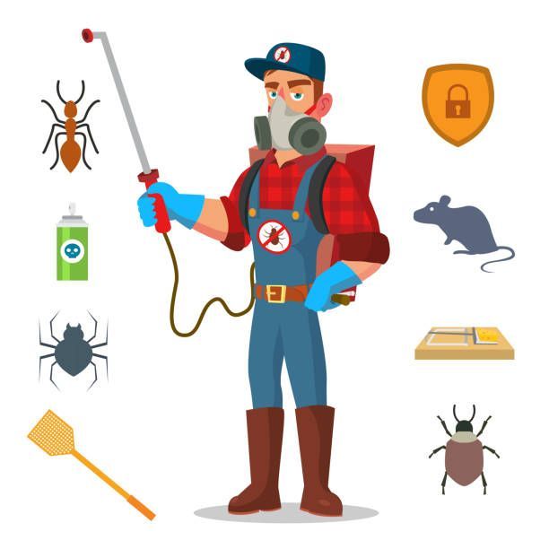 Why You Should Hire Dead Animal Removal Services in Canberra