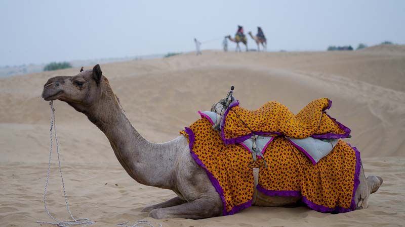 Desert Tour of Rajasthan - Rajasthan Tour Taxi