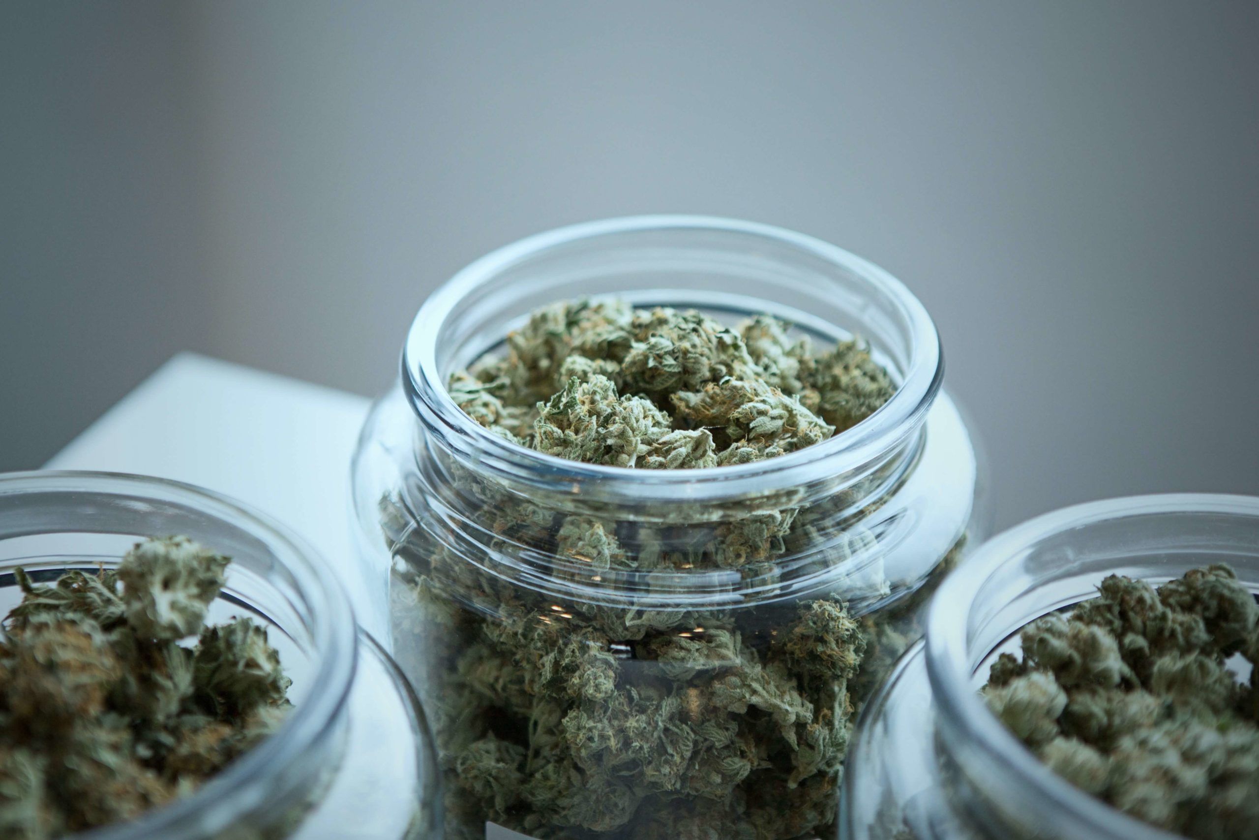How to Deal With Cannabis High - Weed Delivery in Ottawa