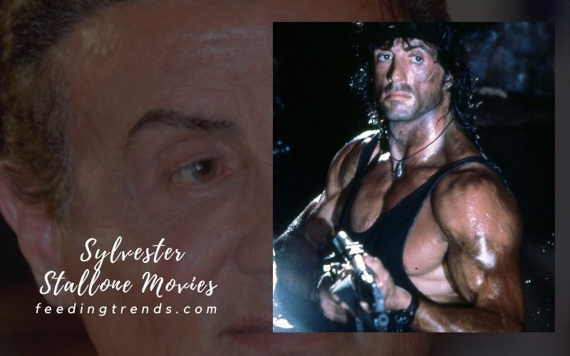 27 Sylvester Stallone Movies That Are Worth To Watch